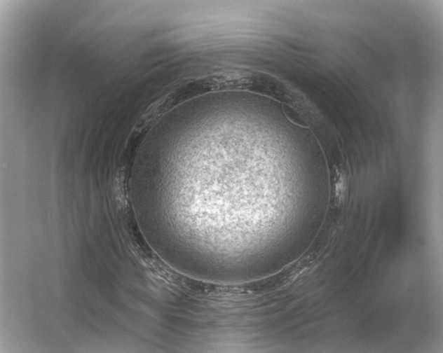 X0000063530819200601231539