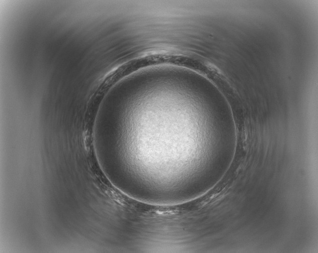 X0000063530822200601231539