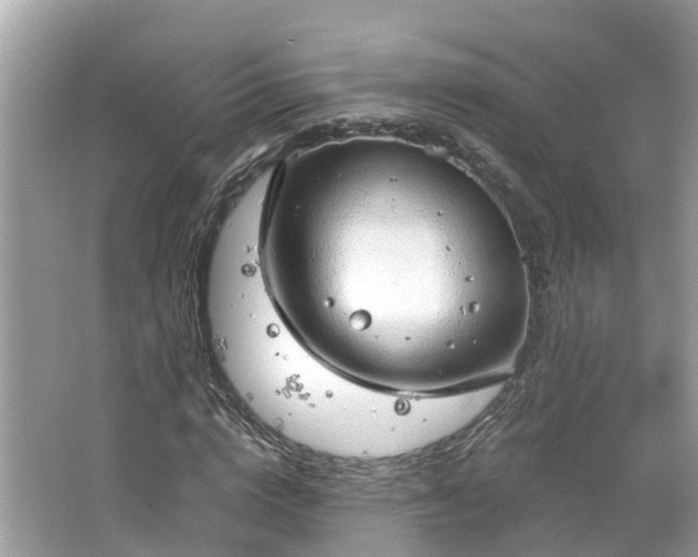 X0000063530824200601231539