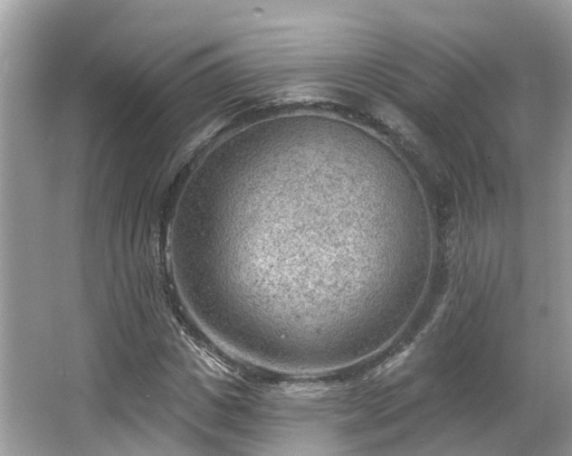 X0000063530825200601231539