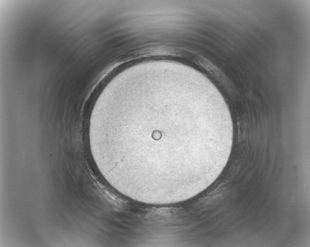 X0000063530828200601231539