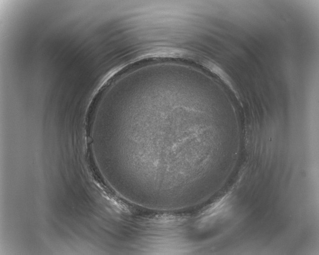 X0000063530829200601231539