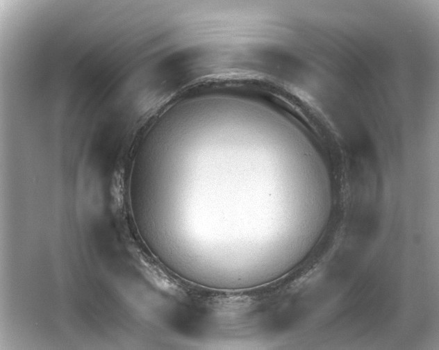 X0000063530833200601231539