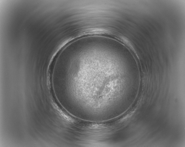 X0000063530835200601231539