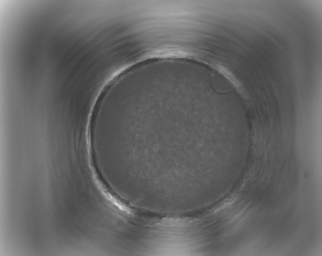 X0000063530840200601231539