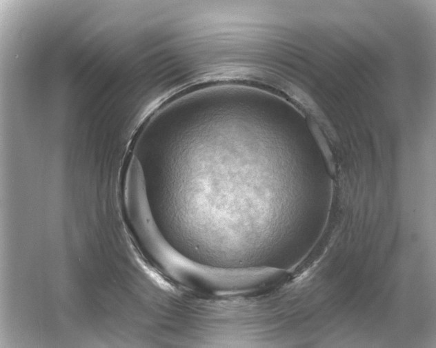 X0000063530842200601231539