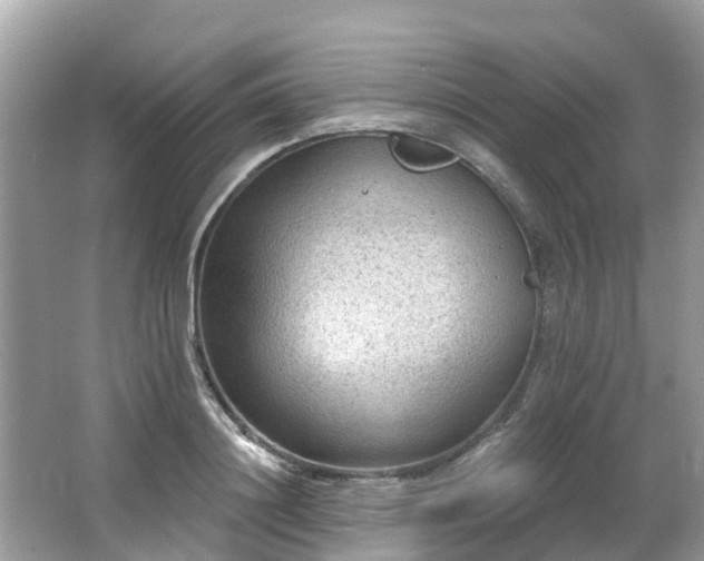 X0000063530844200601231540