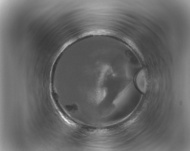 X0000063530845200601231540