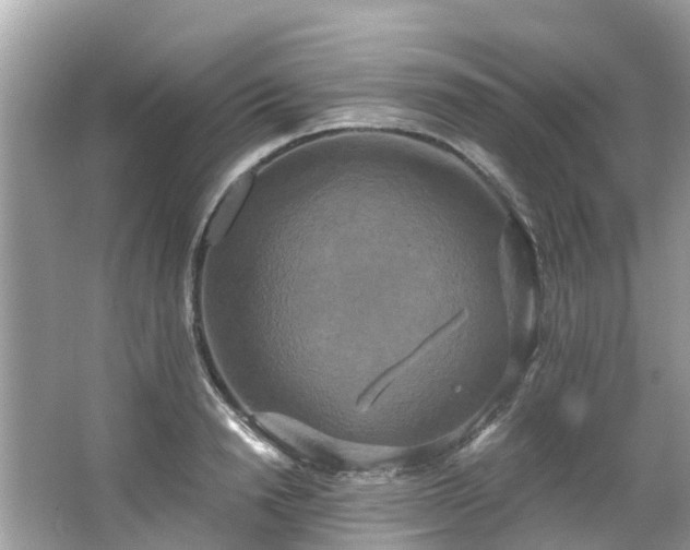 X0000063530846200601231540