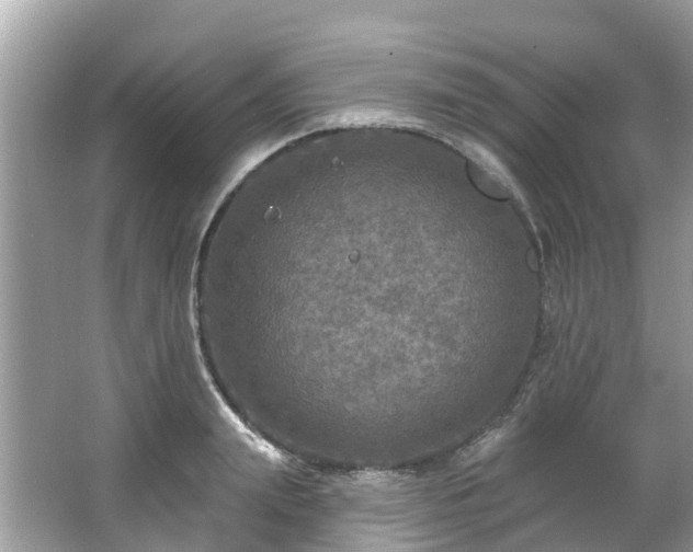 X0000063530847200601231540