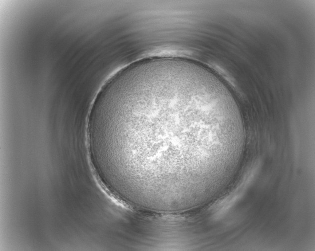 X0000063530848200601231540