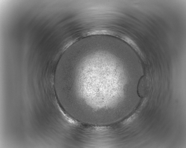 X0000063530849200601231540