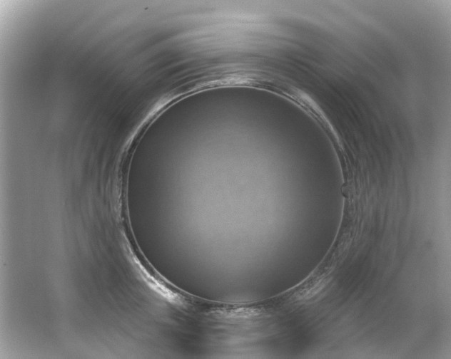 X0000063530851200601231540