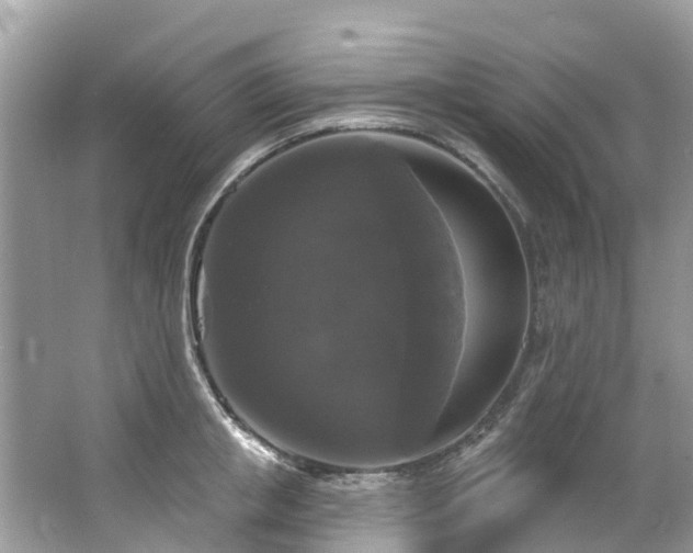 X0000063530853200601231540