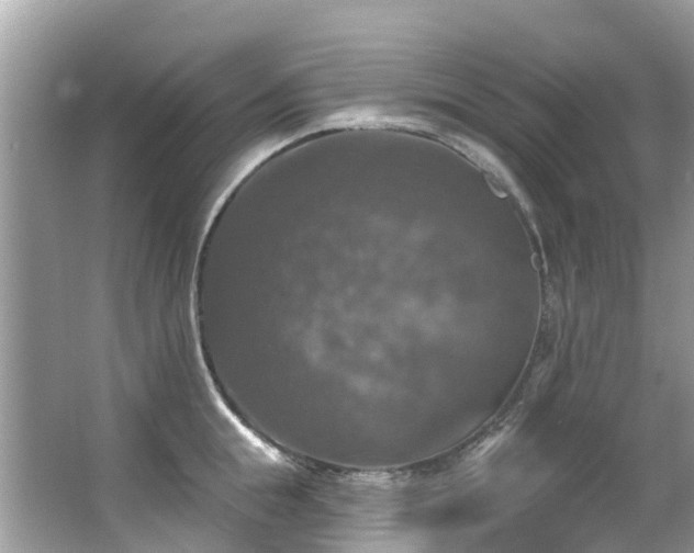 X0000063530855200601231540