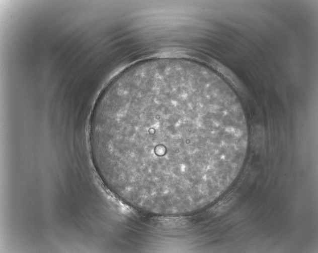 X0000063530856200601231540