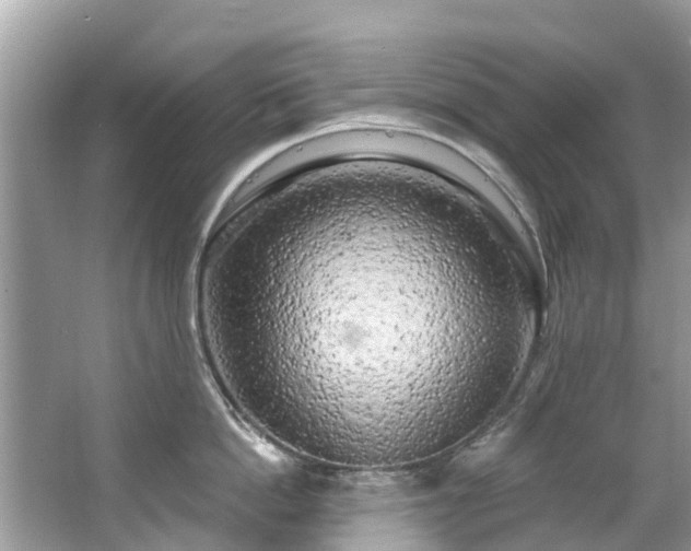 X0000063530862200601231540