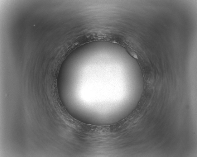 X0000063530865200601231539