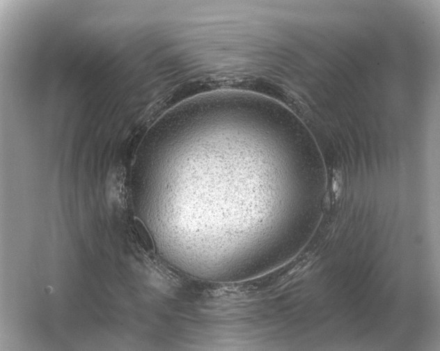 X0000063530867200601231539