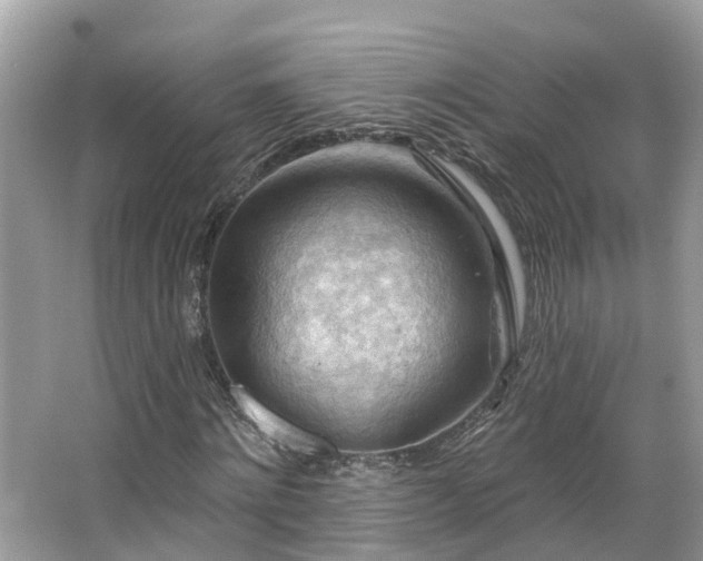 X0000063530868200601231539