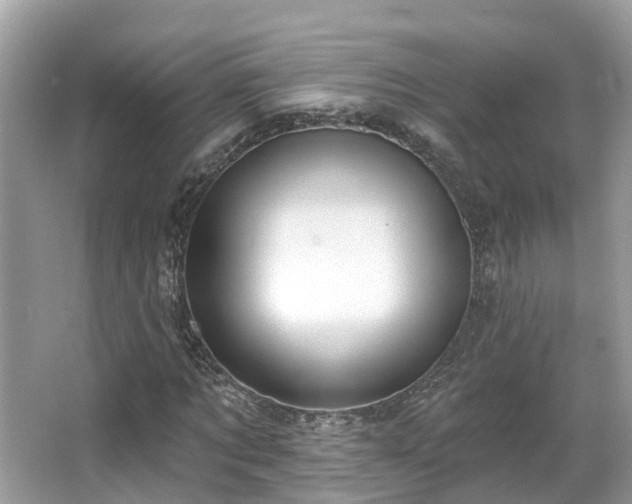 X0000063530869200601231539