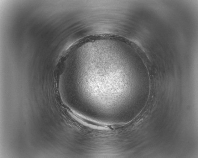 X0000063530871200601231539