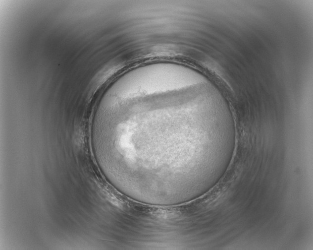 X0000063530874200601231539