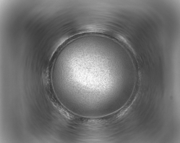 X0000063530875200601231539