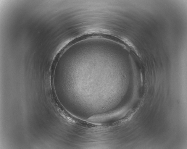 X0000063530877200601231539