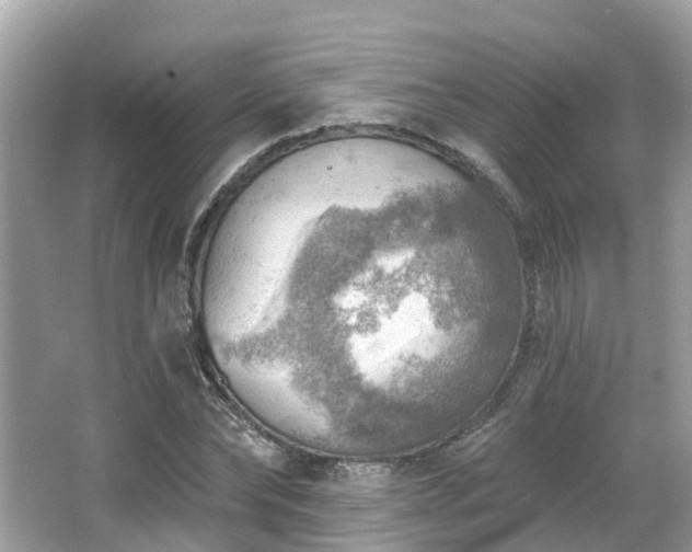 X0000063530878200601231539