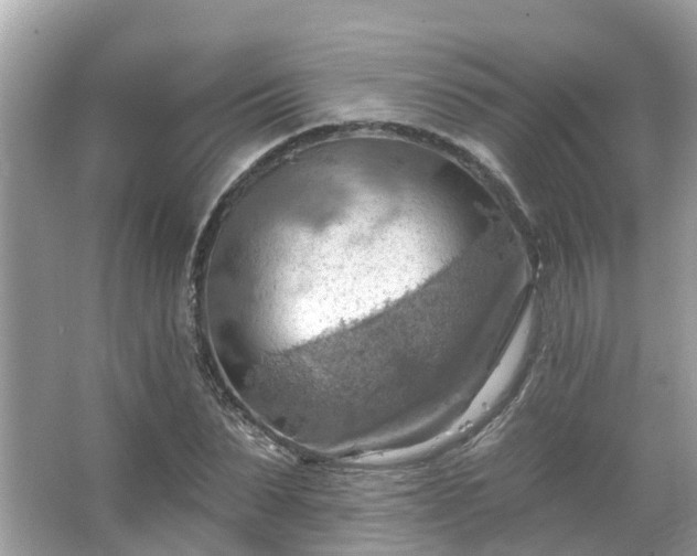 X0000063530879200601231539