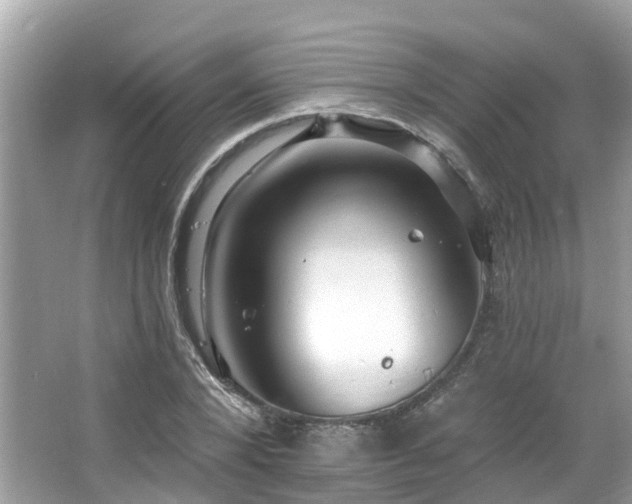 X0000063530880200601231539