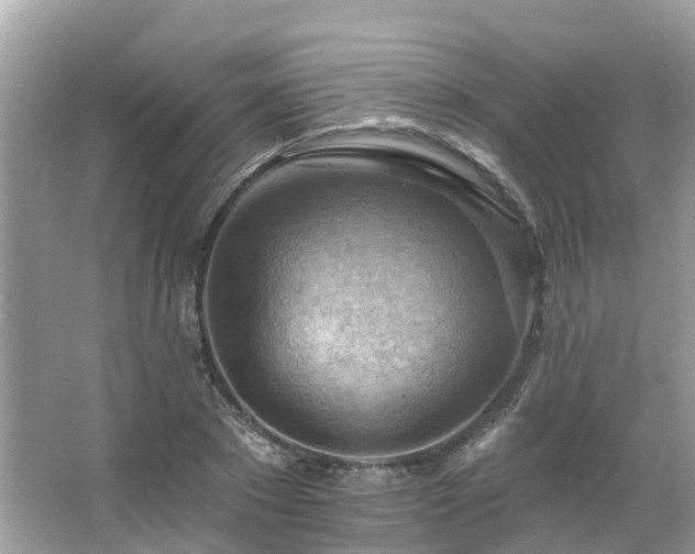 X0000063530881200601231539