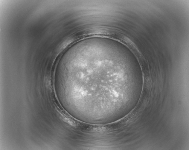 X0000063530882200601231539