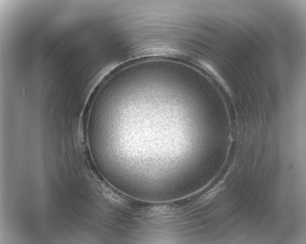 X0000063530883200601231539