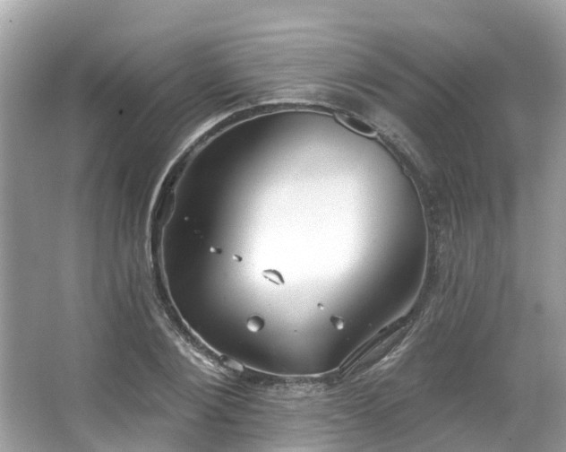 X0000063530884200601231539