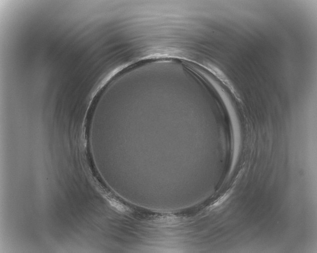 X0000063530885200601231539