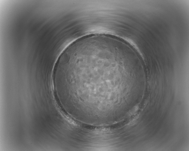 X0000063530887200601231539