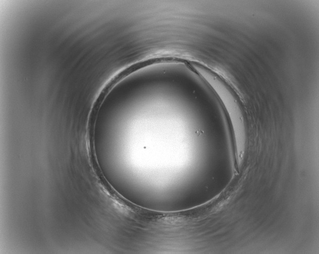 X0000063530888200601231539