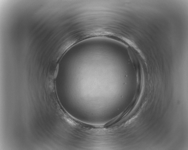 X0000063530889200601231539