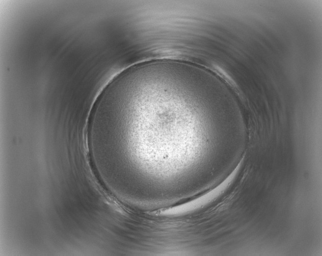 X0000063530891200601231539