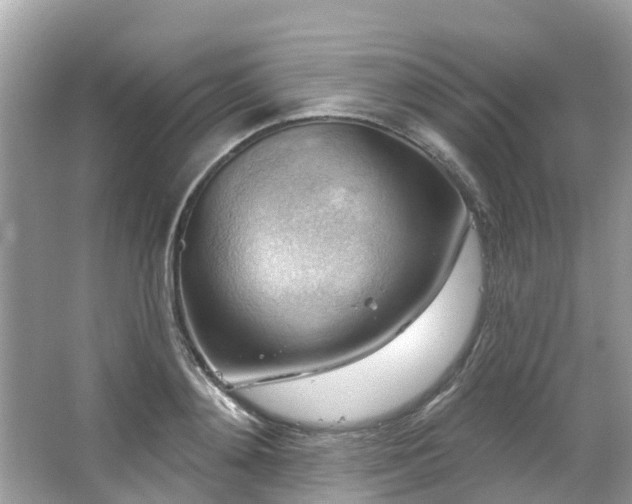 X0000063530892200601231539