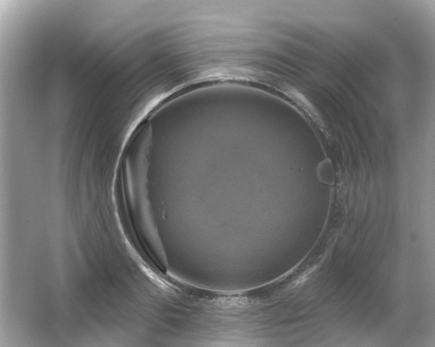 X0000063530893200601231539