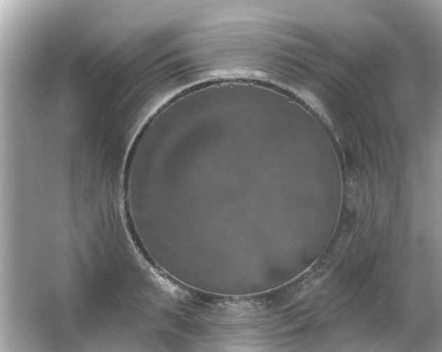 X0000063530895200601231539