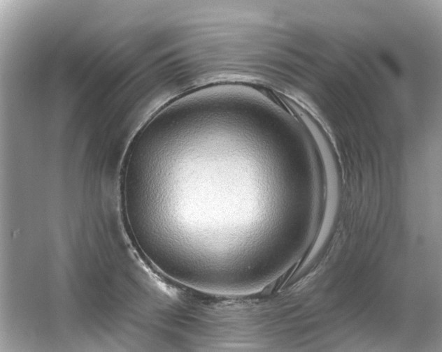 X0000063530898200601231538