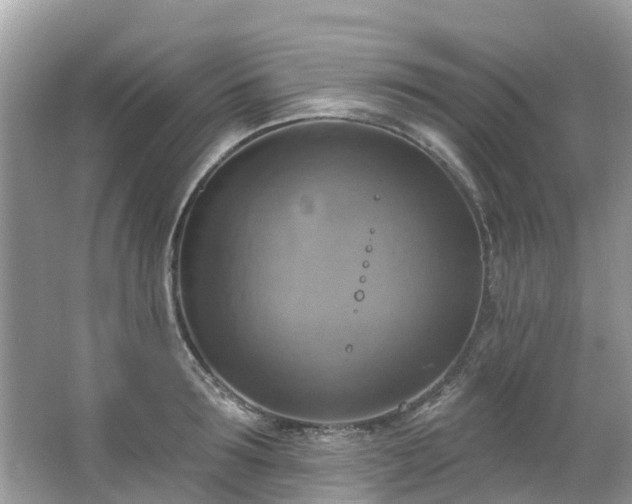 X0000063530899200601231538