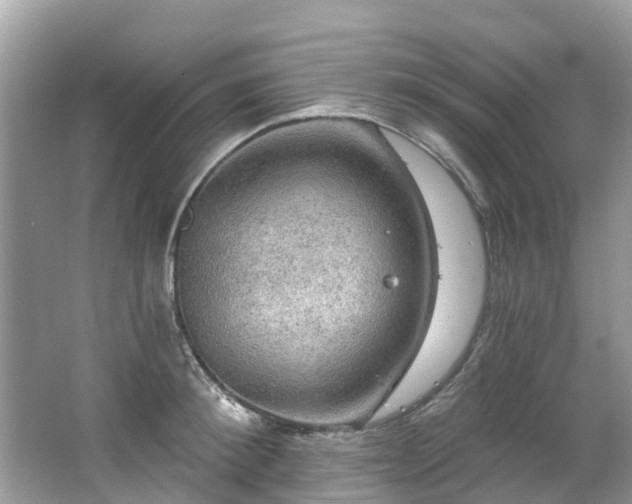 X0000063530900200601231538