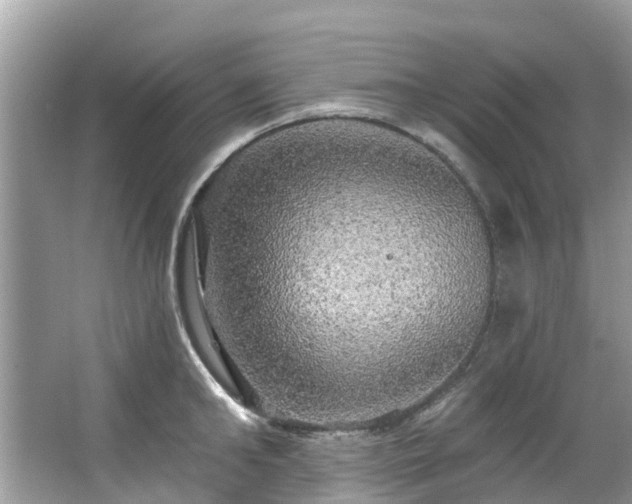 X0000063530902200601231538