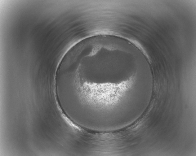 X0000063530903200601231538