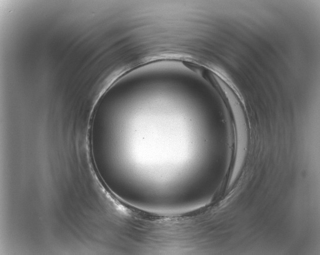 X0000063530906200601231538